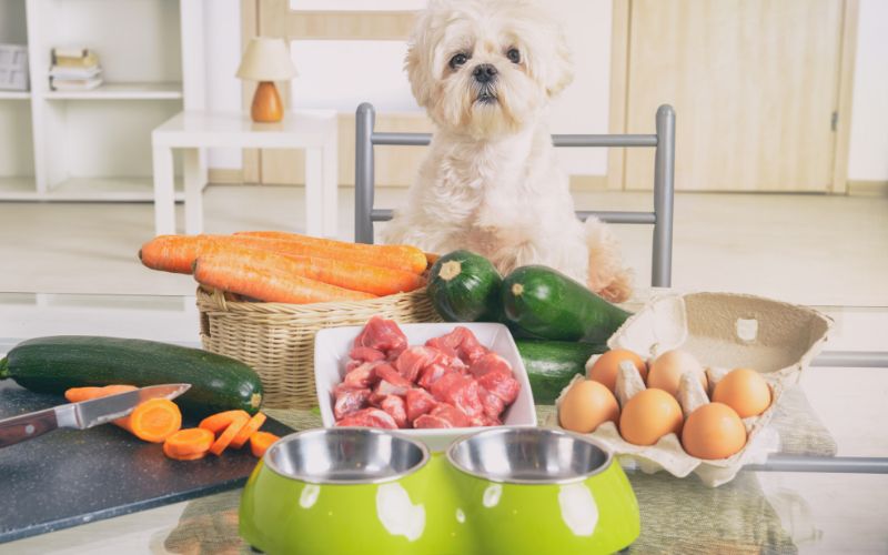 How to Create Easy Homemade Meals For Your Dog