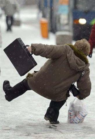 Man slipping over on ice Wellbeing for Dogs