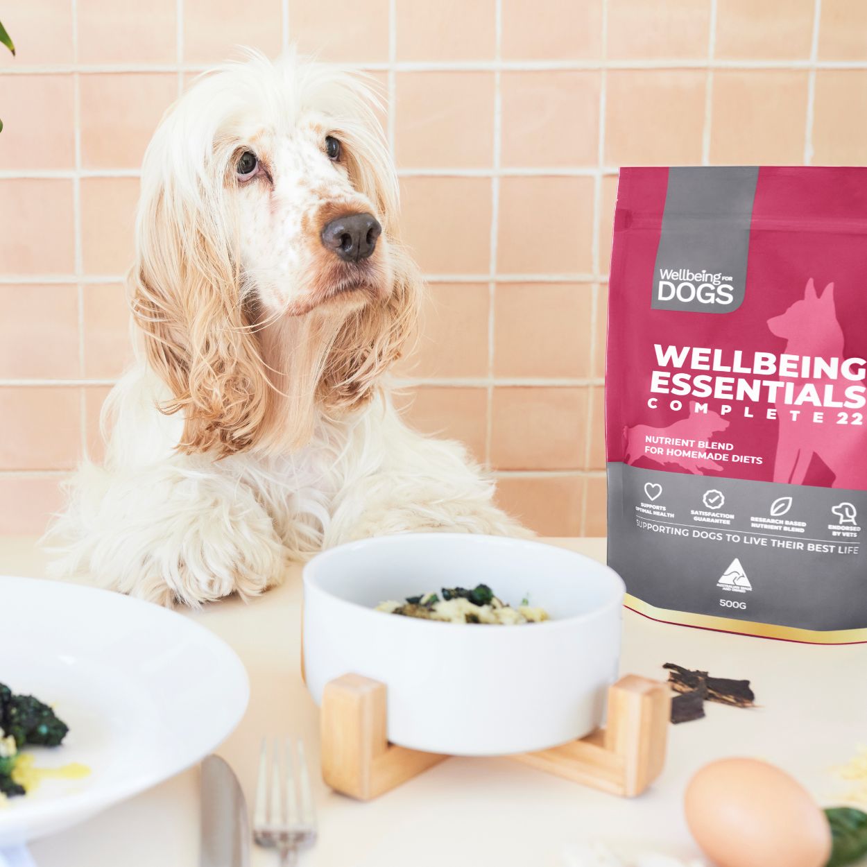 Dog posing next to Wellbeing Essentials Complete 22