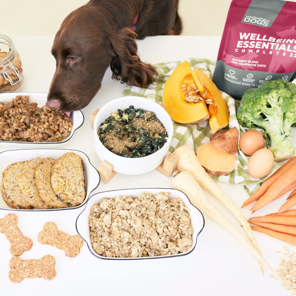 Dog sniffing bowls of food with Wellbeing Essentials Complete 22