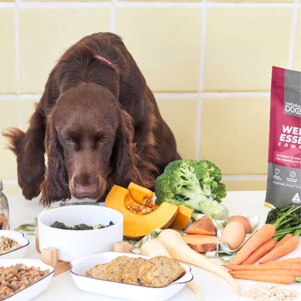 Dog sniffing bowl of food next to Wellbeing Essentials Complete 22