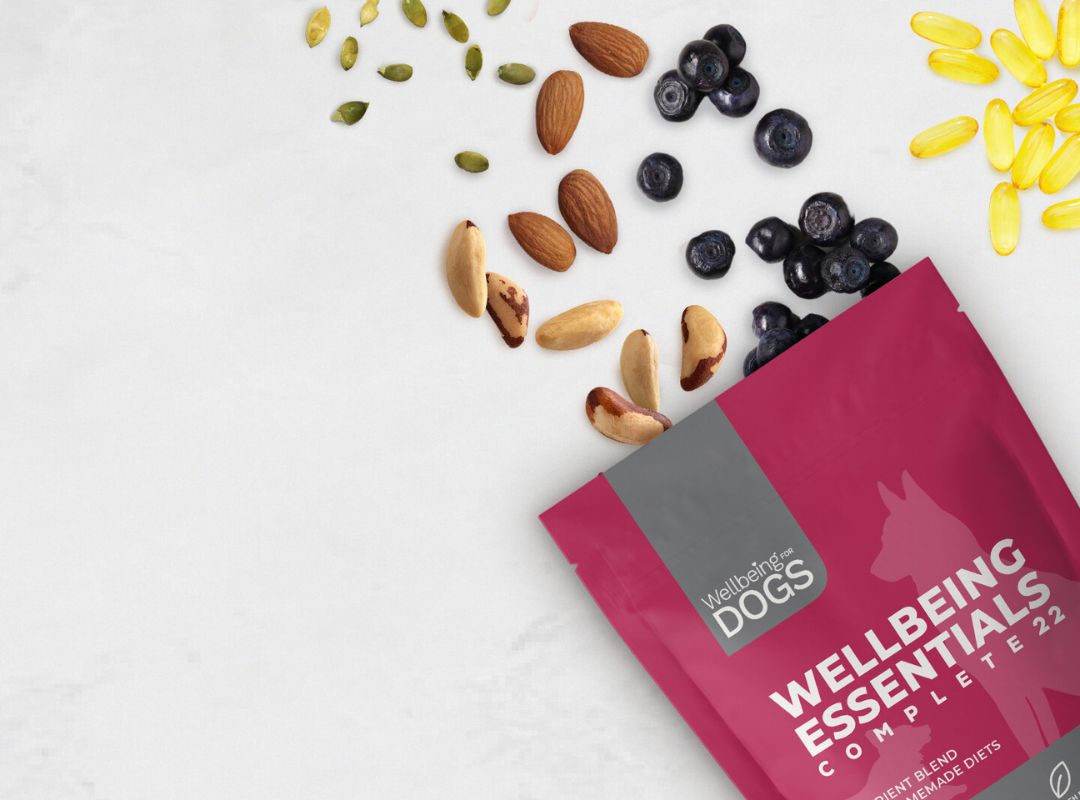 Wellbeing Essentials Complete 22