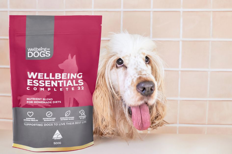 Dog posing next to packet of Wellbeing Essentials Complete 22