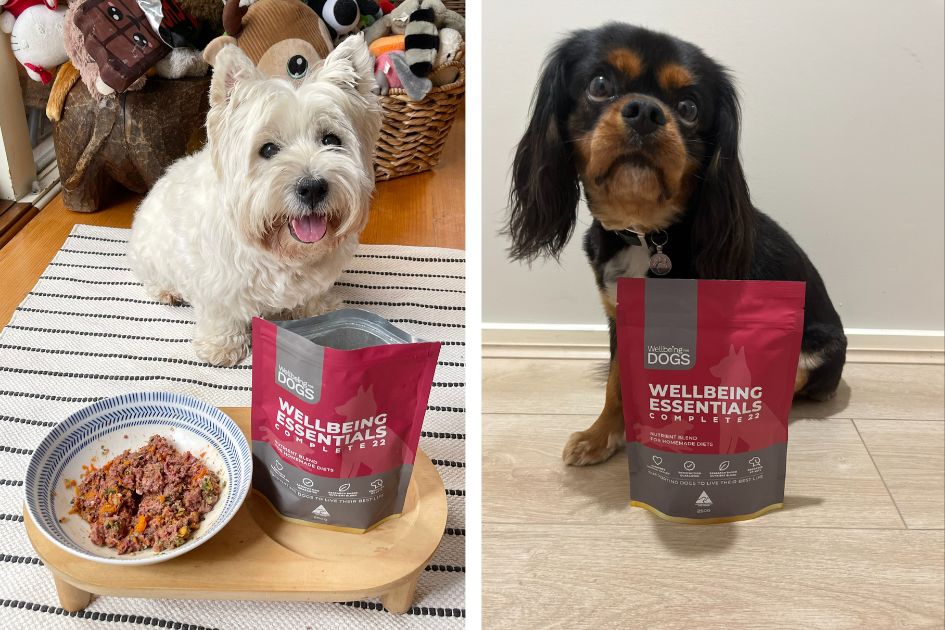 Two dogs posing with Wellbeing Essentials Complete 22