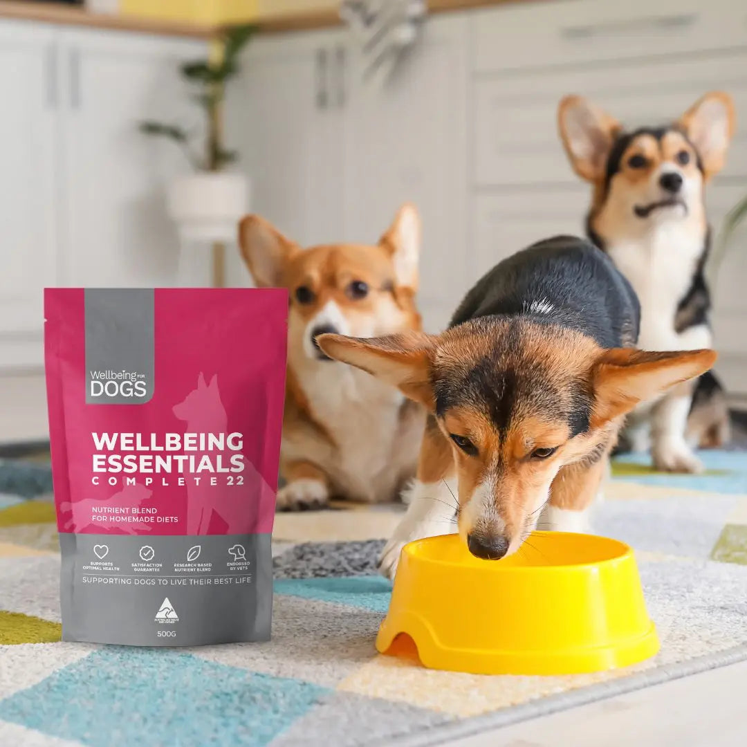 Wellbeing Essentials Complete 22 Wellbeing for Dogs
