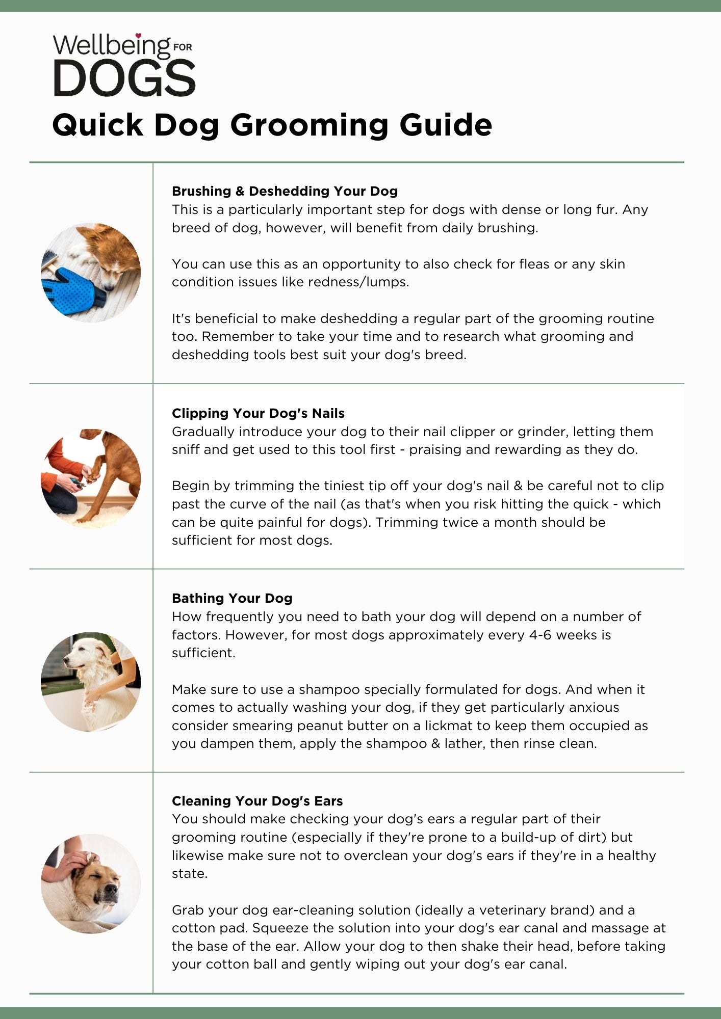 Quick Dog Grooming Guide