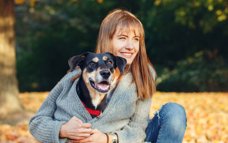 Black toy poodles Moo and Beanie sitting on grass Wellbeing for Dogs