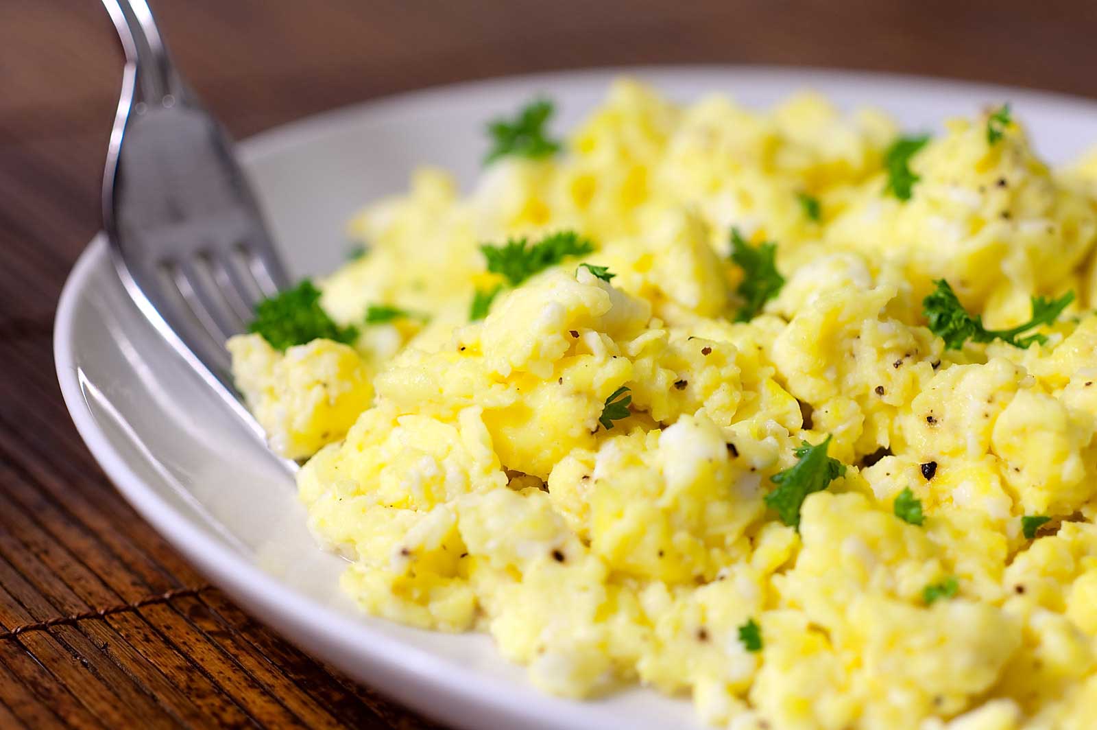 Scrambled eggs for dog food dinner Wellbeing for Dogs