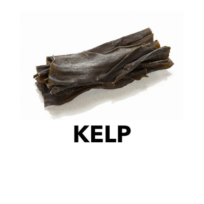 Organic Kelp