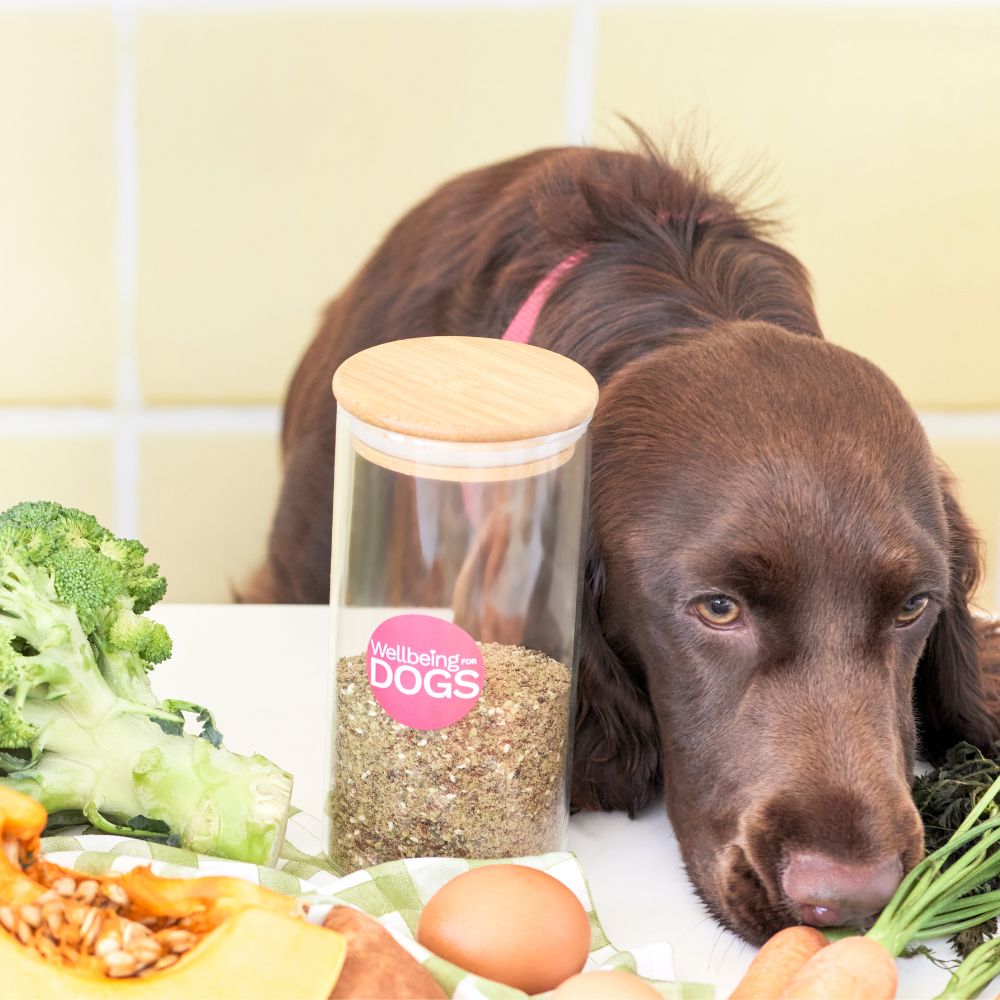 Dog next to Wellbeing Essentials Complete 22
