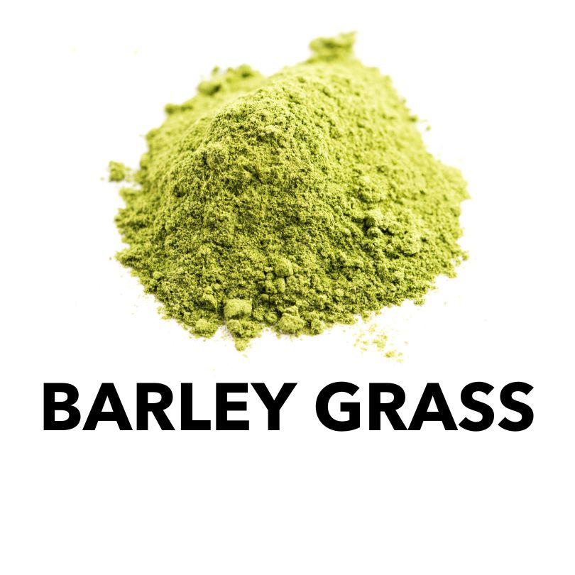 Barley Grass