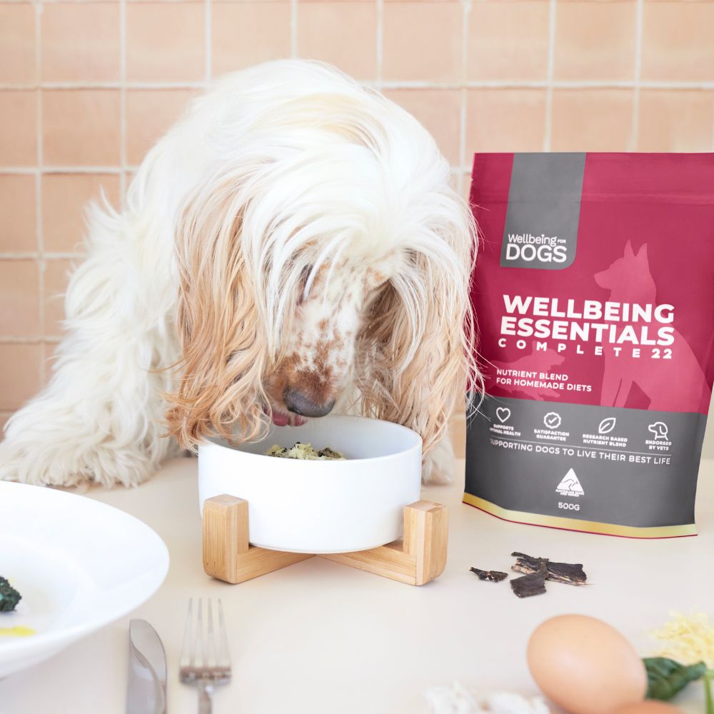 Dog eating food next to Wellbeing Essentials Complete 22