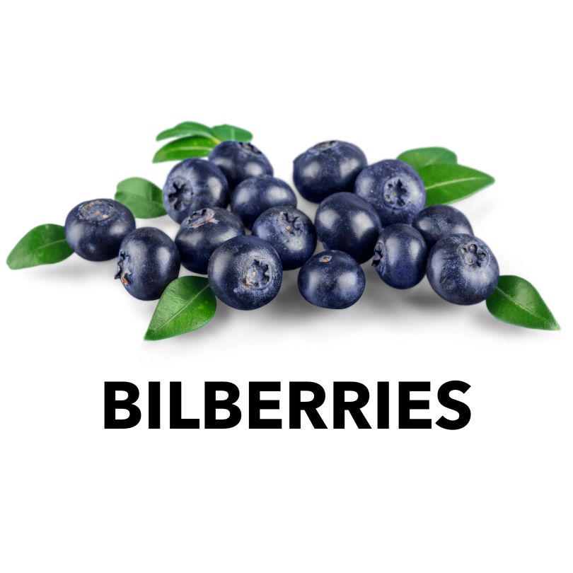 Wild Blueberry/Bilberry