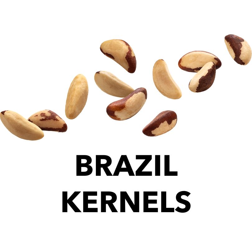 Brazil Nuts