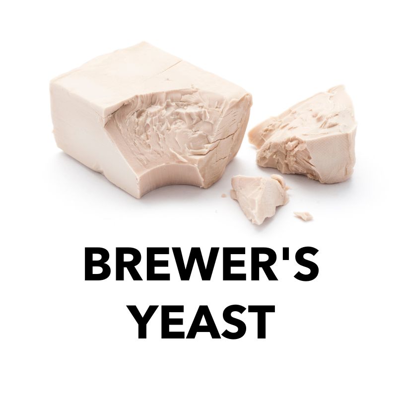 Brewer’s Yeast