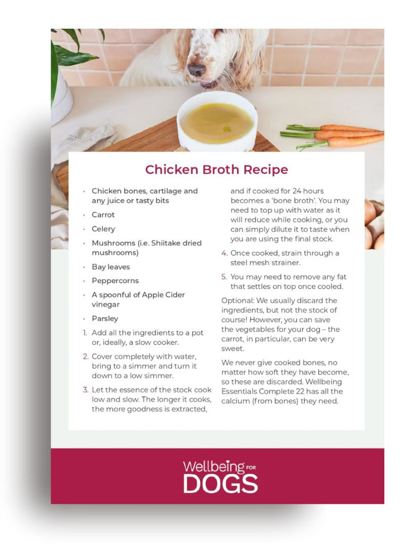 Wellbeing for Dogs | Nutrient Blends For Dogs