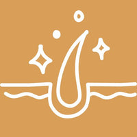 Promoting healthy skin, coat + brain function