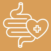 Encouraging good gut health + smooth digestion