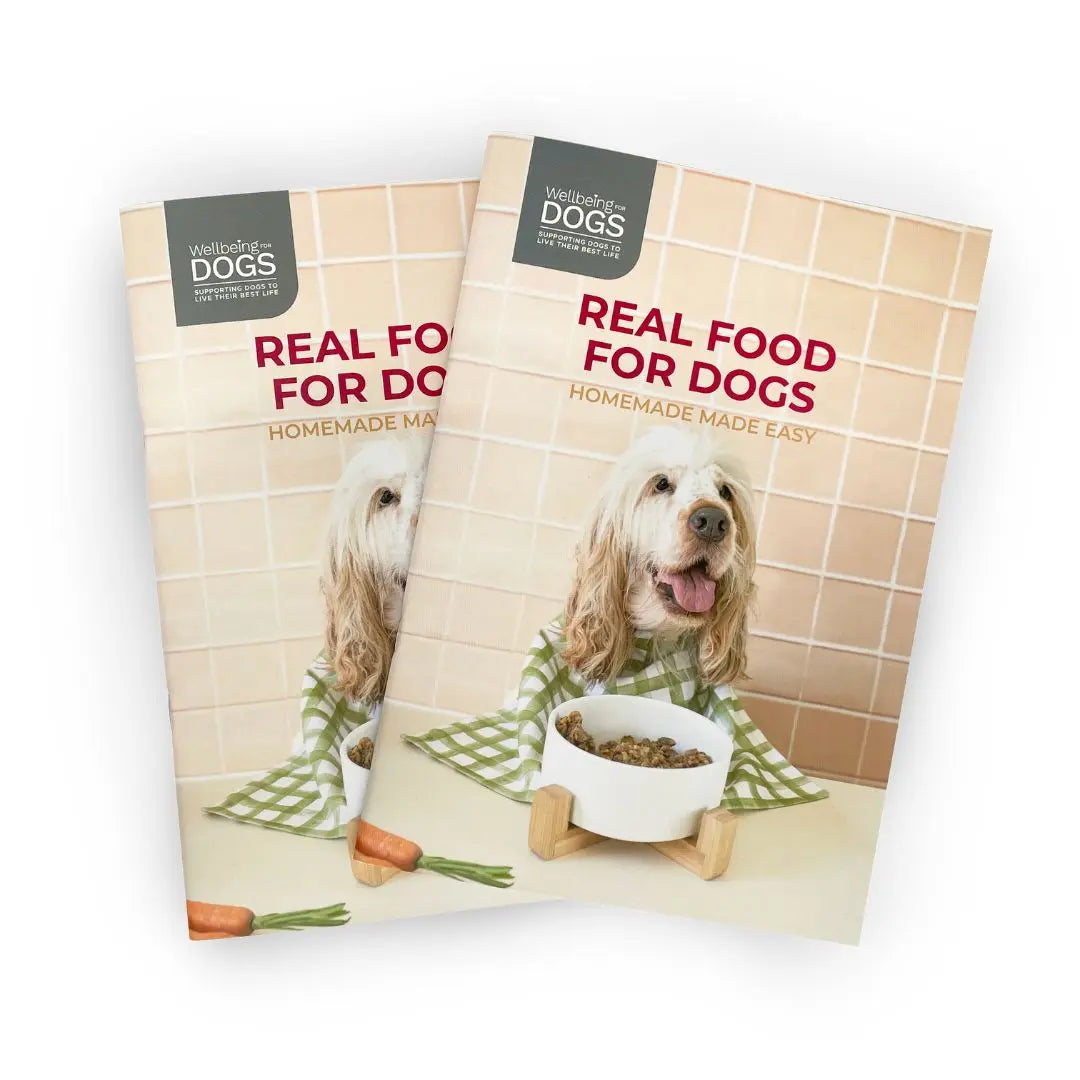 Real Food For Dogs: Home Cook Recipe Book Wellbeing for Dogs