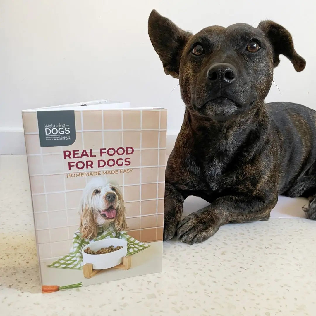 Real Food For Dogs: Home Cook Recipe Book Wellbeing for Dogs