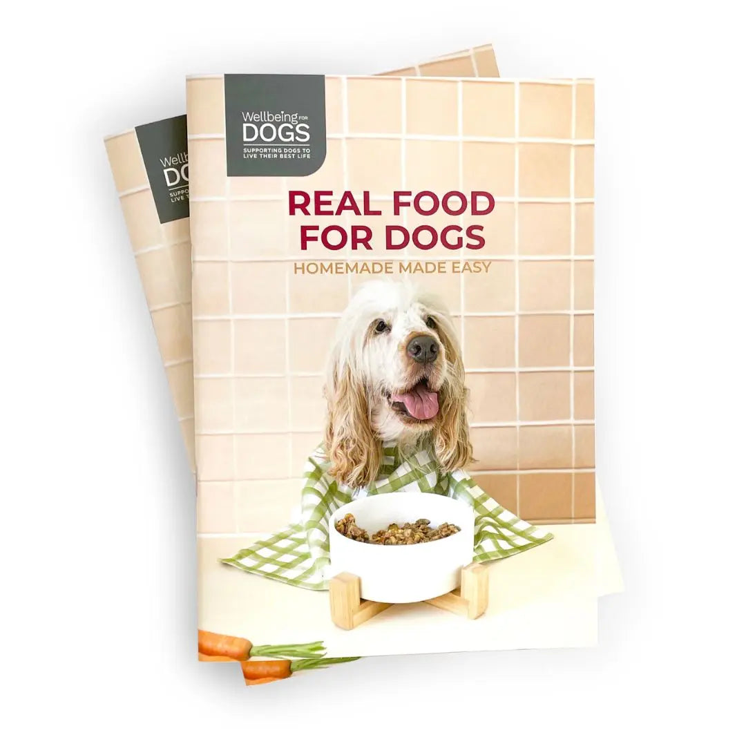 Real Food For Dogs: Home Cook Recipe Book Wellbeing for Dogs