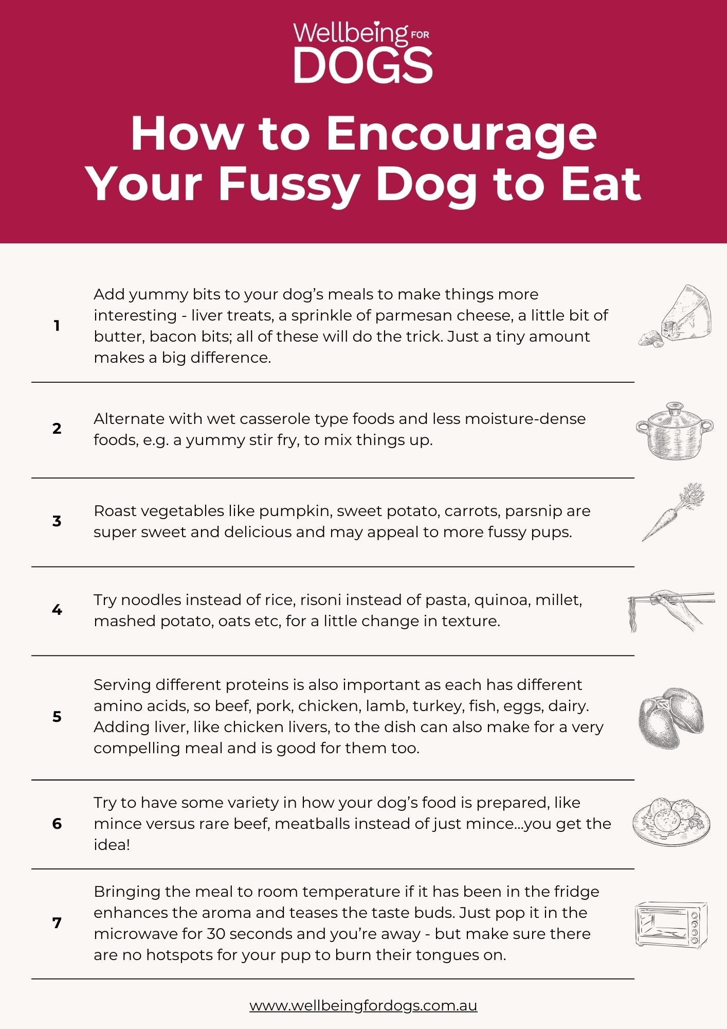 How to Encourage Your Fussy Dog to Eat Guide