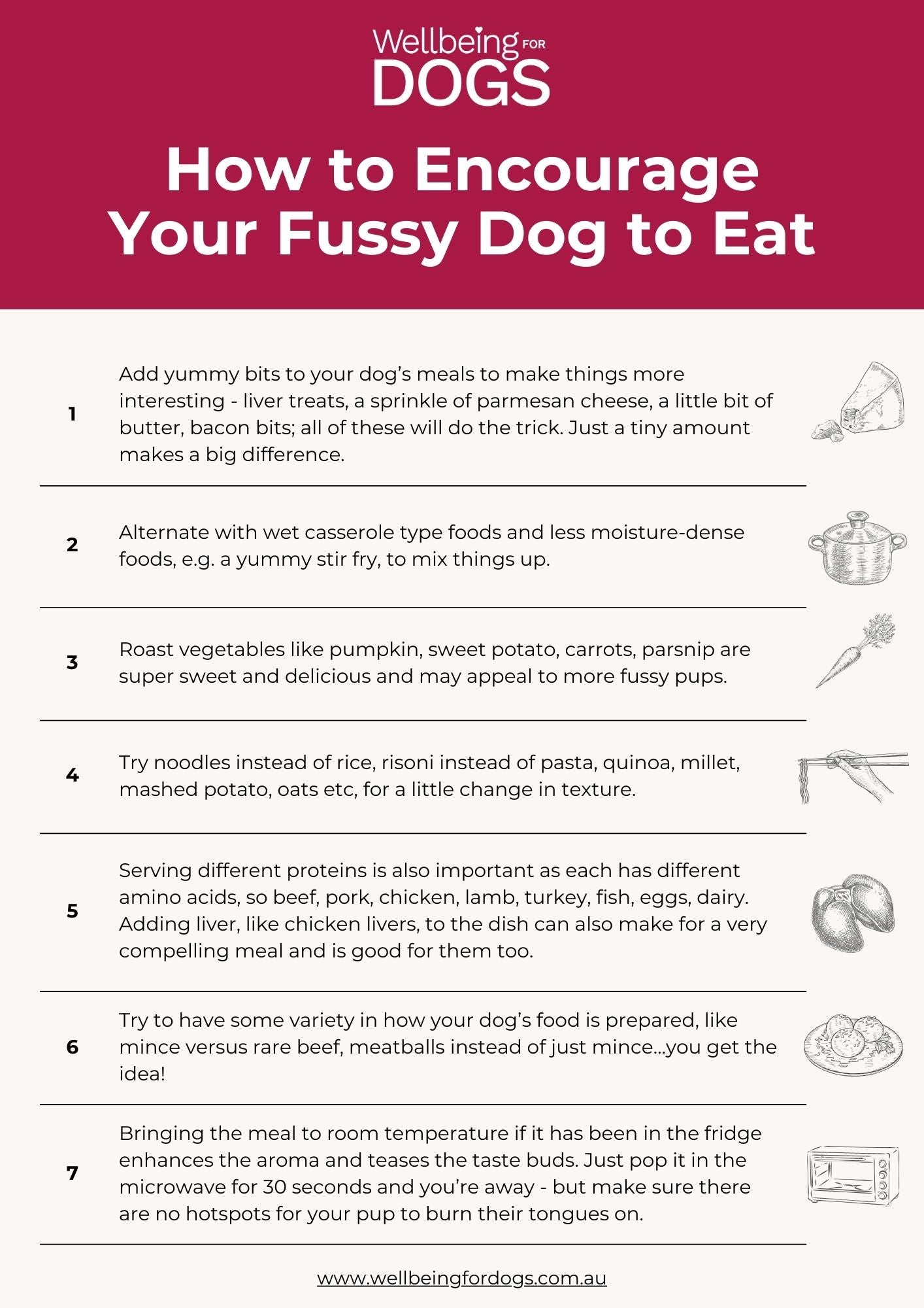 Picture of Resources - Wellbeing for Dogs