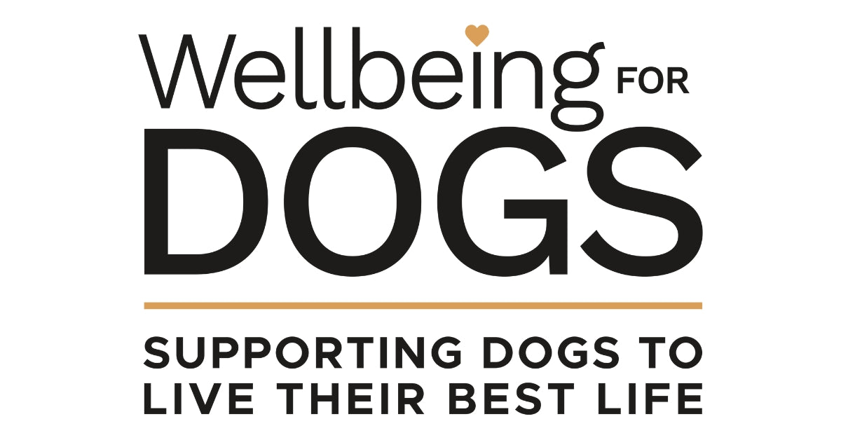 Wellbeing essentials 2024 for dogs