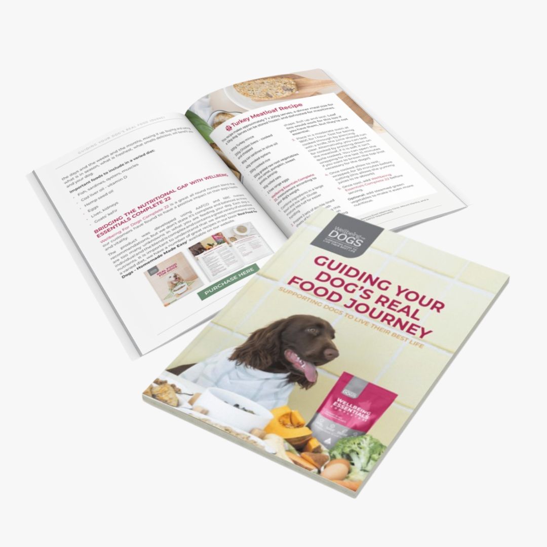 Guiding Your Dog's Real Food Journey