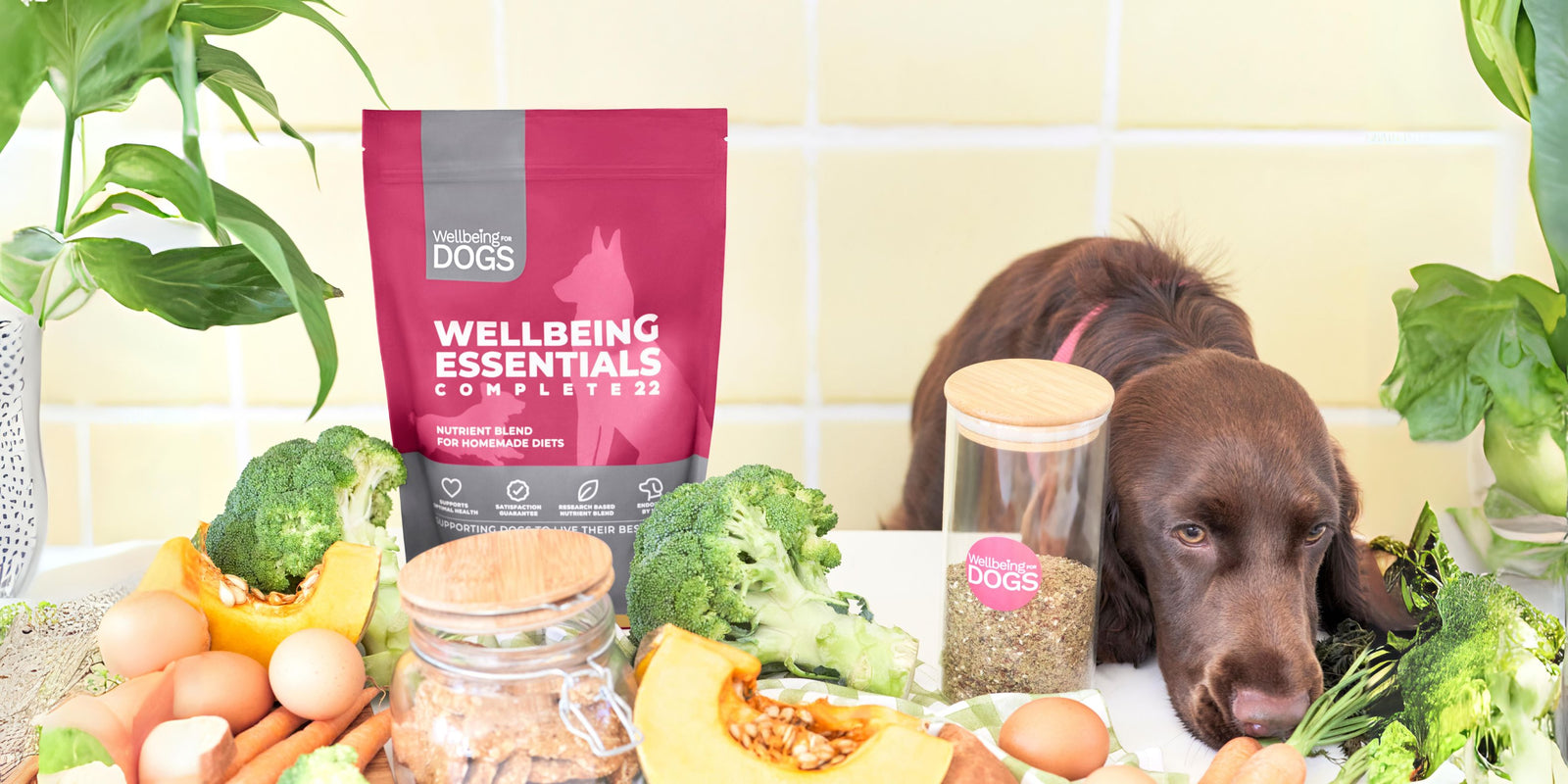 Dog sniffing carrot next to Wellbeing For Dogs packet