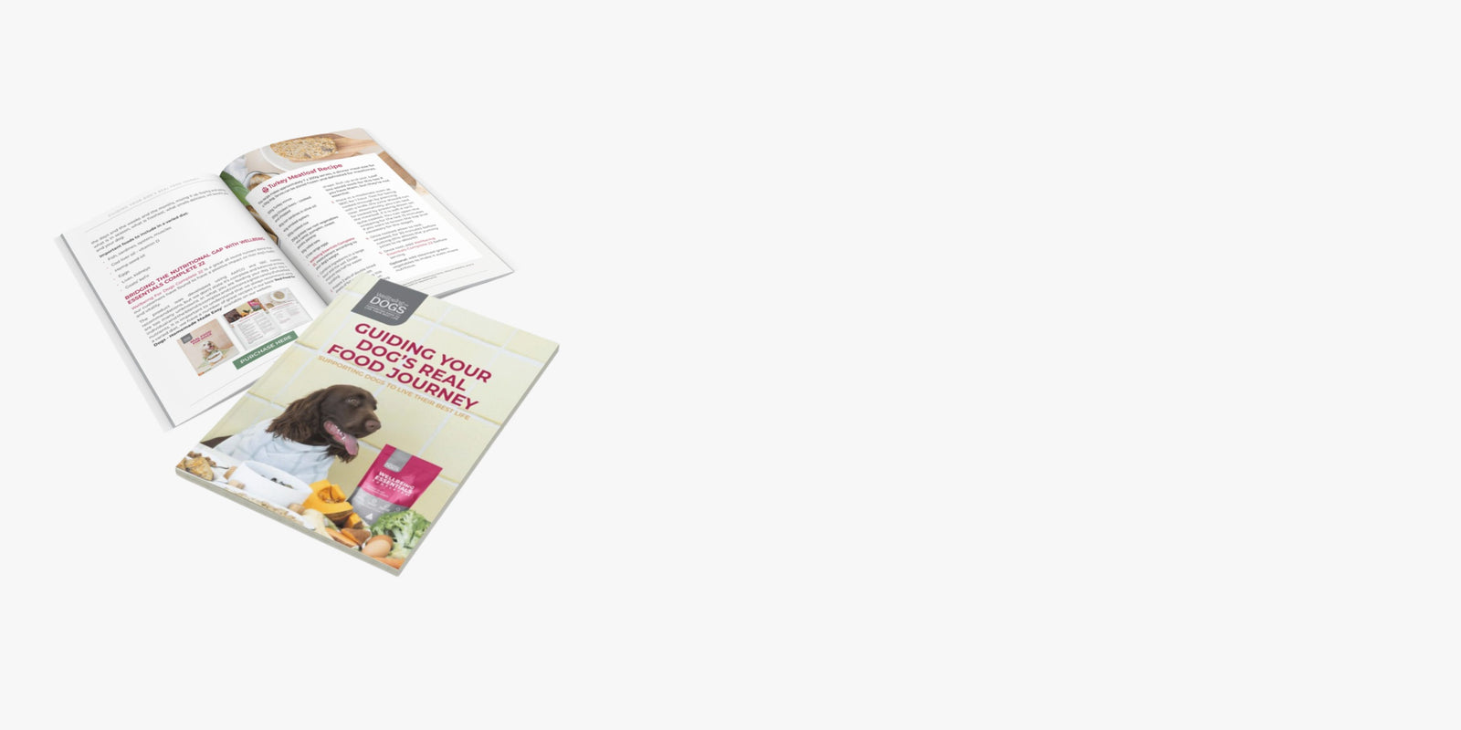 Guiding Your Dog's Real Food Journey