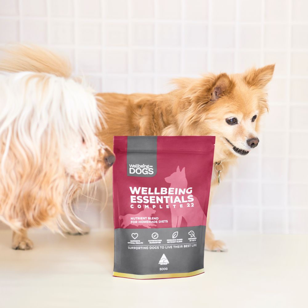 Two dogs with Wellbeing Essentials Complete 22 packet