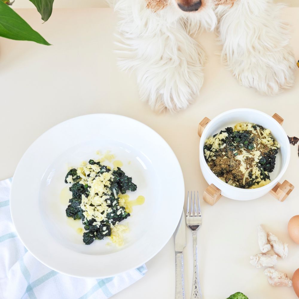 Dog leaning on table with homemade meals