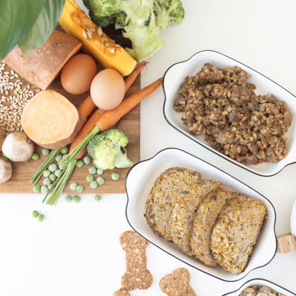 Homemade meals for dogs with vegetables