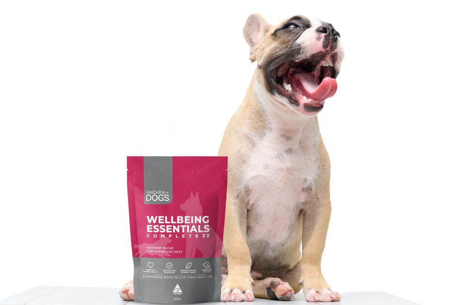 Wellbeing essentials for top dogs