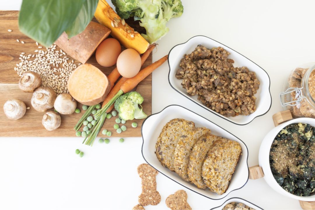 Homemade meals for dogs