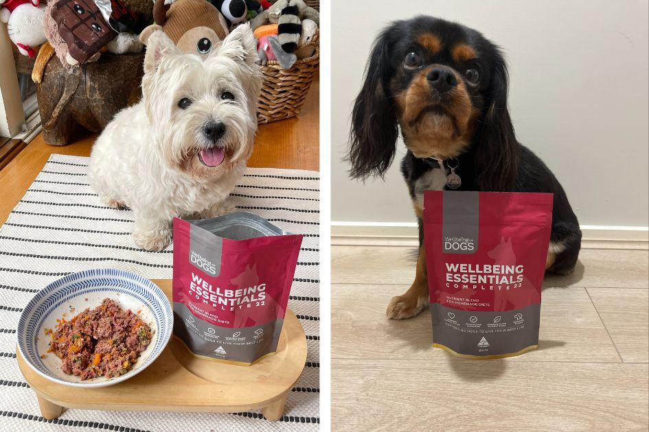 Wellbeing for Dogs Nutrient Blends For Dogs