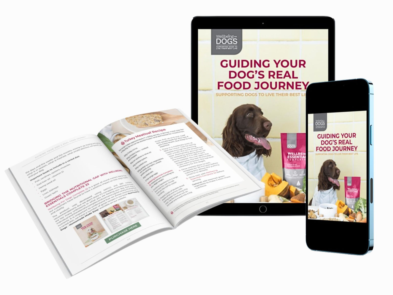 Guiding Your Dog's Real Food Journey eBook