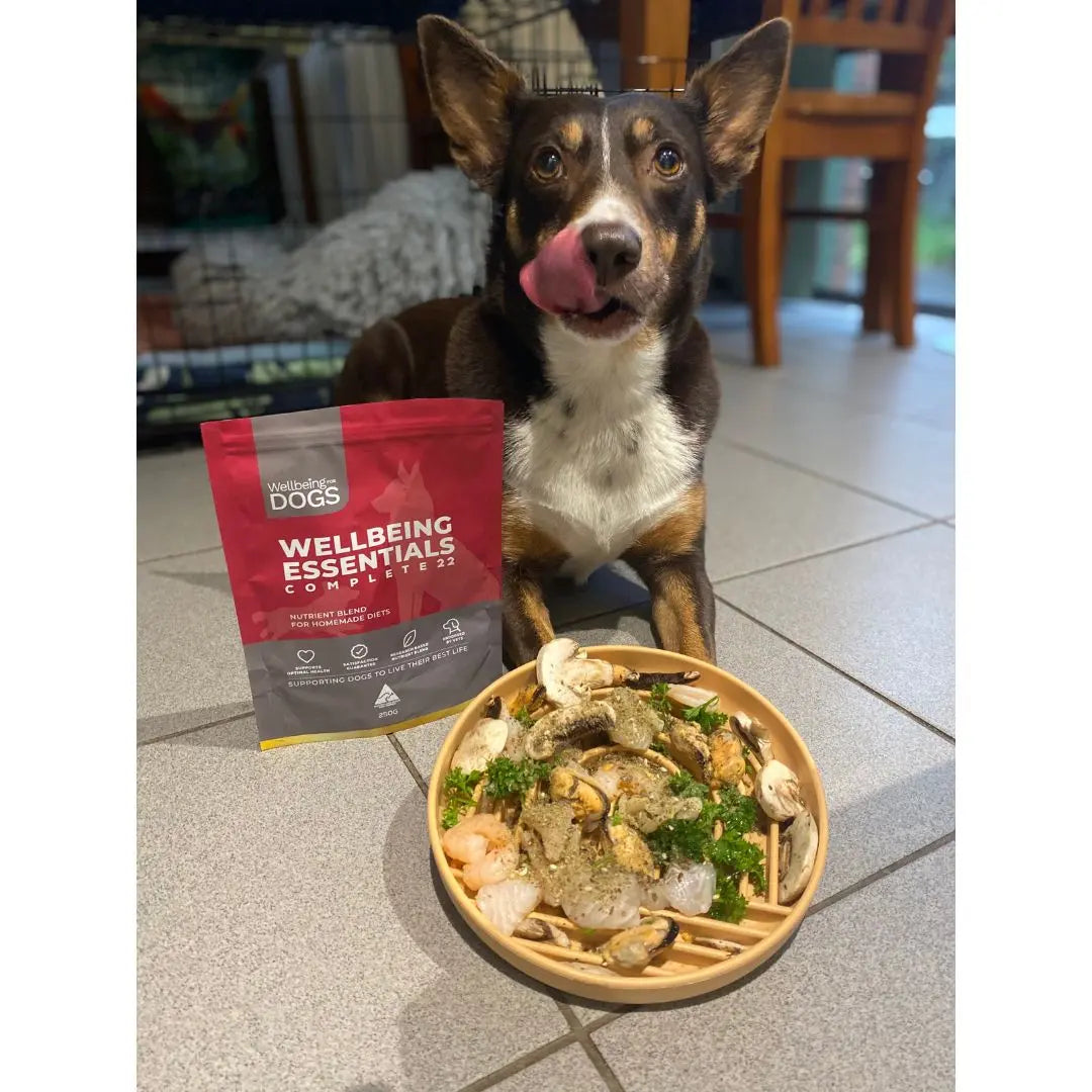 Wellbeing Essentials Complete 22 Wellbeing for Dogs