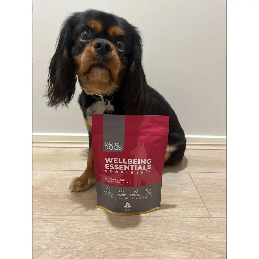 Wellbeing Essentials Complete 22 Wellbeing for Dogs