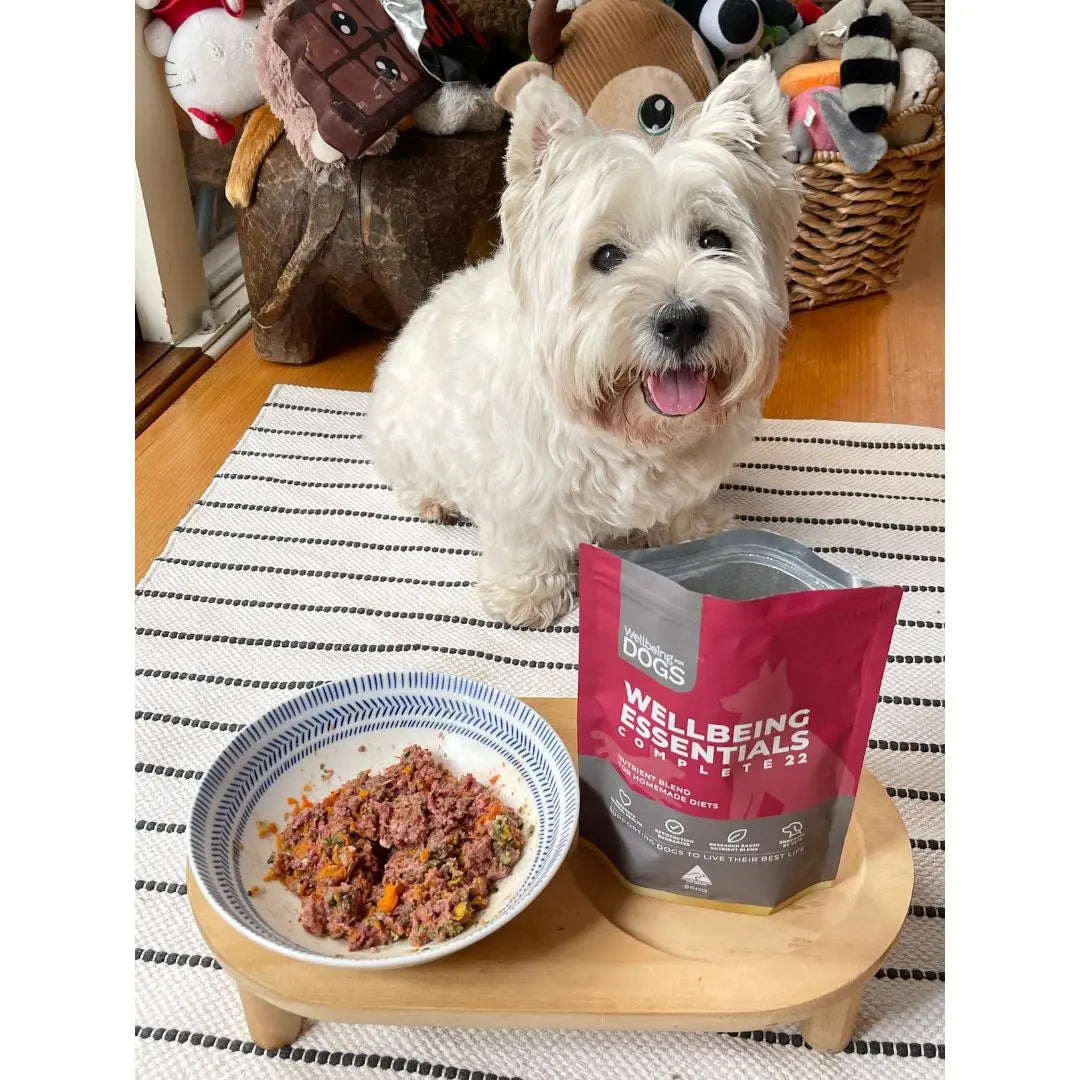 Wellbeing Essentials Complete 22 Wellbeing for Dogs