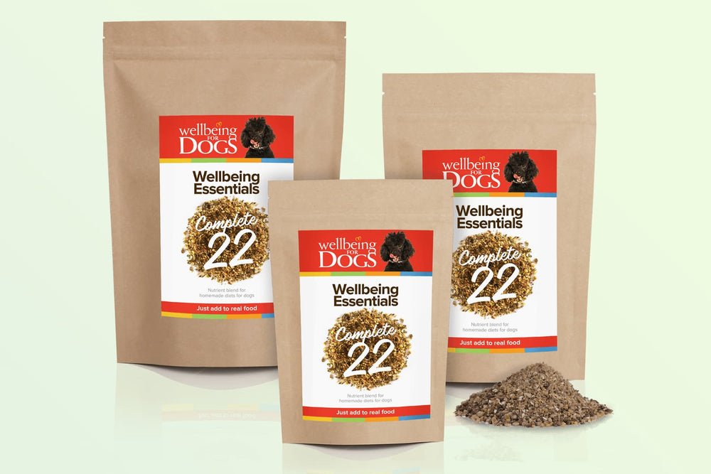 Recipe Chicken Stock for Dogs Wellbeing for Dogs