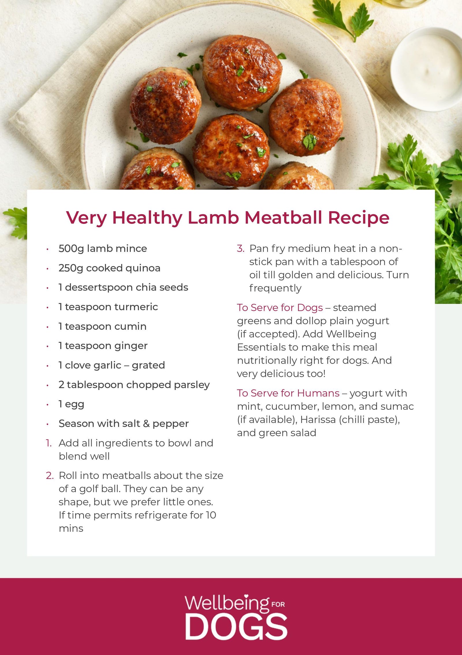 Very Healthy Lamb Meatball Recipe